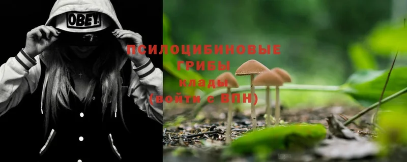 Псилоцибиновые грибы Magic Shrooms  где найти   Котельники 